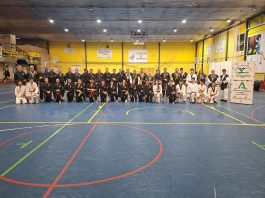 SEMINARIO KUMDO TODAS LAS CATEGORÍAS 15 MARZO 2026 GINES Y CASARICHE (SEVILLA)