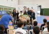 PROGRAMA MENTOR 10