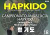 CAMPEONATO AND HAPKIDO EXHIBICIIONES, TÉNICA Y ADAPTADO